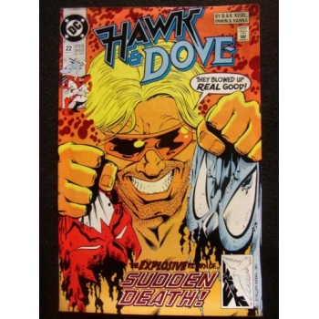 DC - Hawk & Dove 22 (In Lingua Originale) (CV)