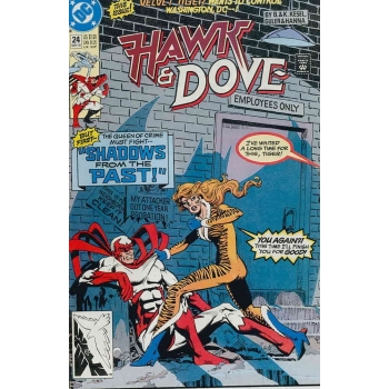 DC - Hawk & Dove 24 (In Lingua Originale) (CV)